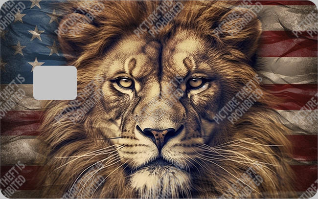 Bank  Card Sticker-BC-218